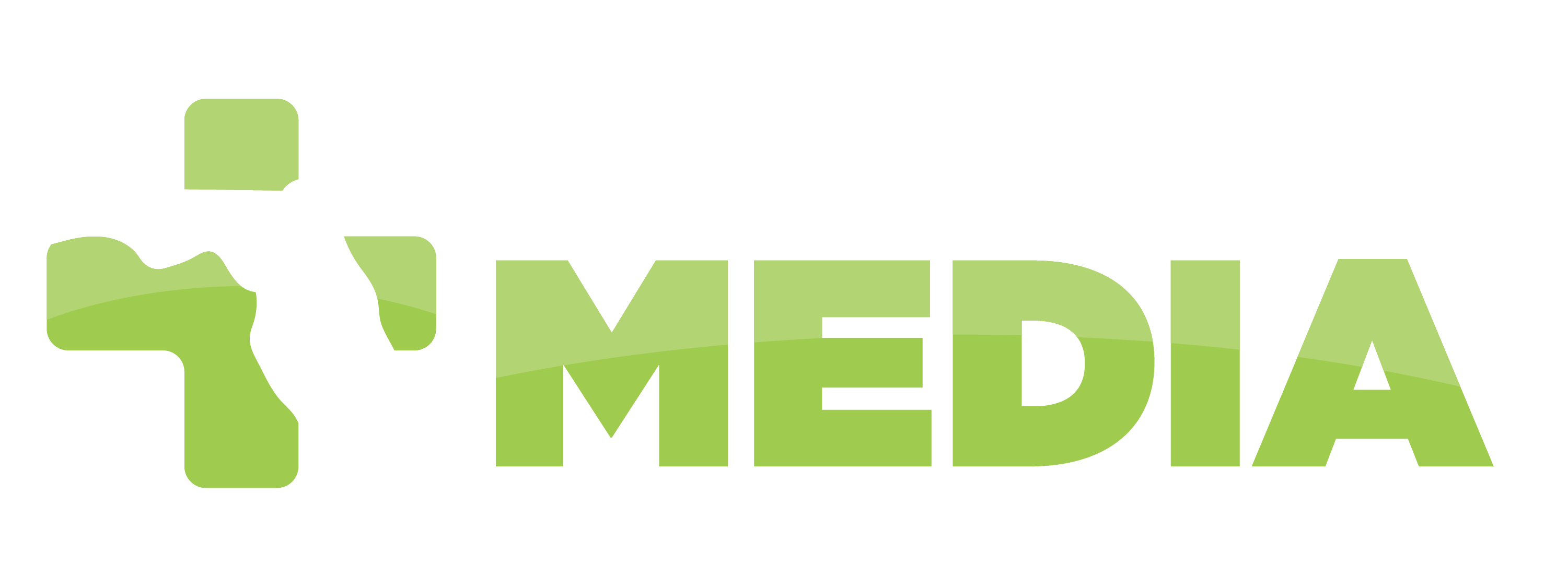 My Florida Media